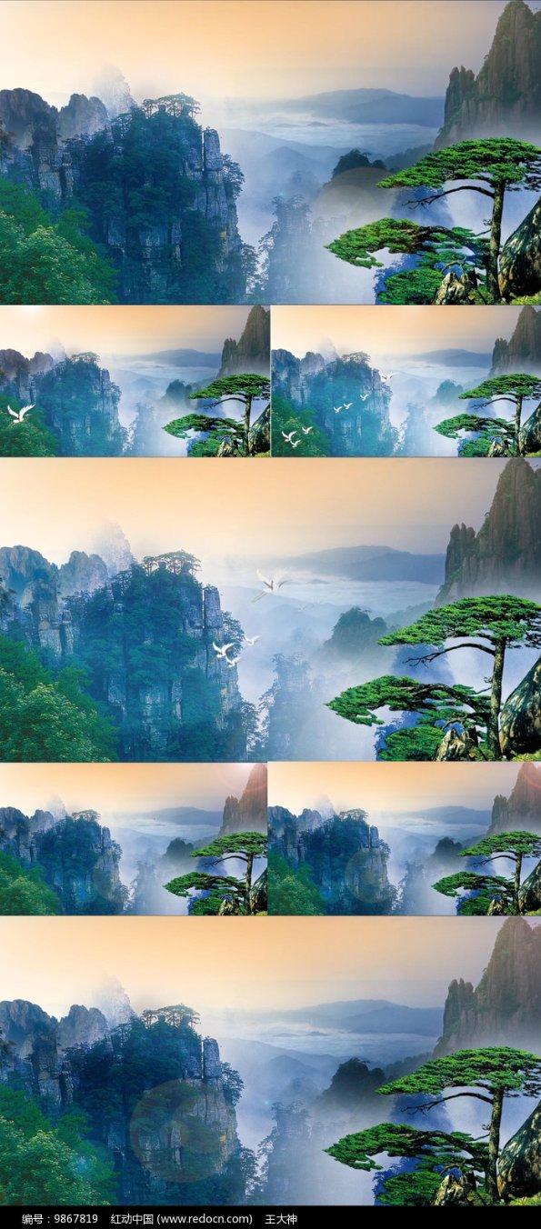 哪里可以鉴定奢侈品-专业有问必答平台